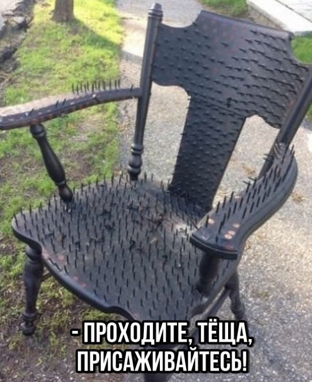 Лента прикольных картинок