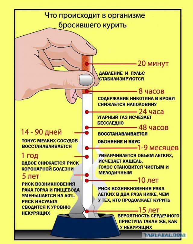 Управделами президента закупило сигареты на 19 млн руб