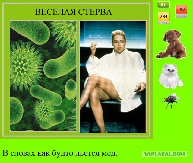 Яповчанки с праздником любви и весны