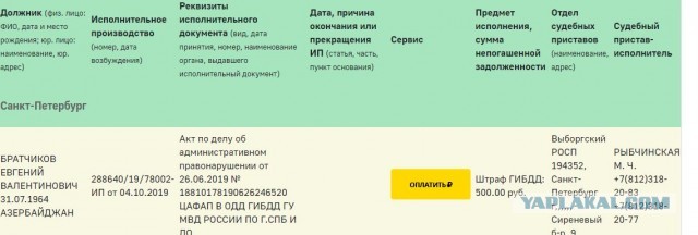 Помогите вернуть кота! Приют "Преданное сердце" украл кота и не отдает!