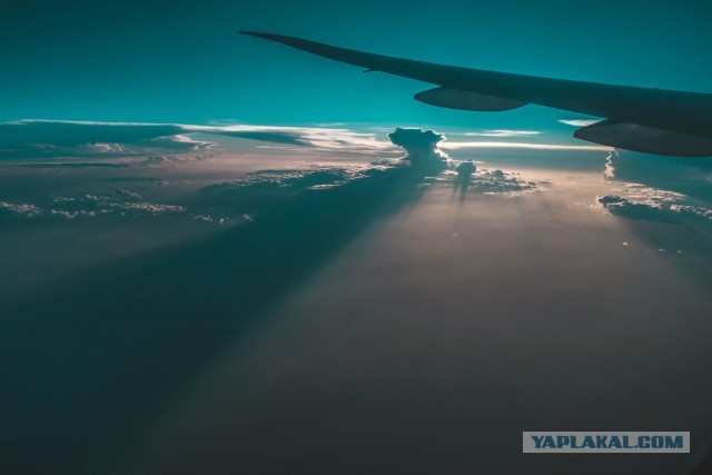 Воскресная фотоподборка