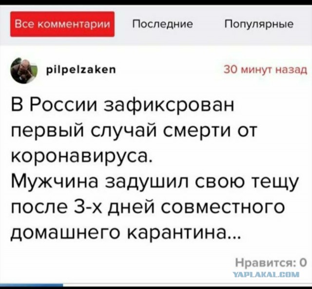 Она всего пару дней на карантине, а уже всех соседей за... мучила