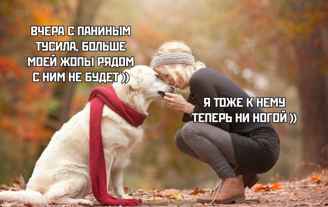 От улыбки хмурый день светлей