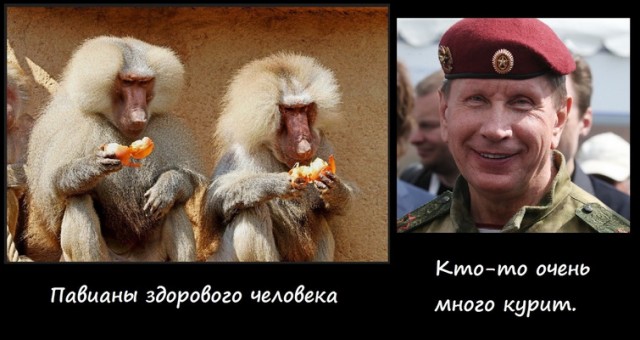 Министр экономического развития перепутал триллионы с миллиардами во время интервью Познеру. Ну как перепутал...