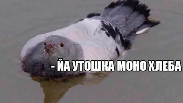 Согласен