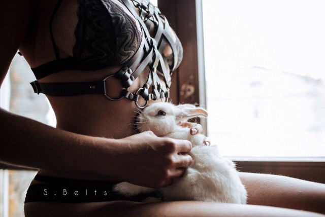 Снова они... 7