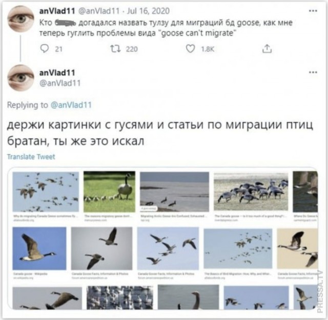 Картинки и мемы для настроения 009