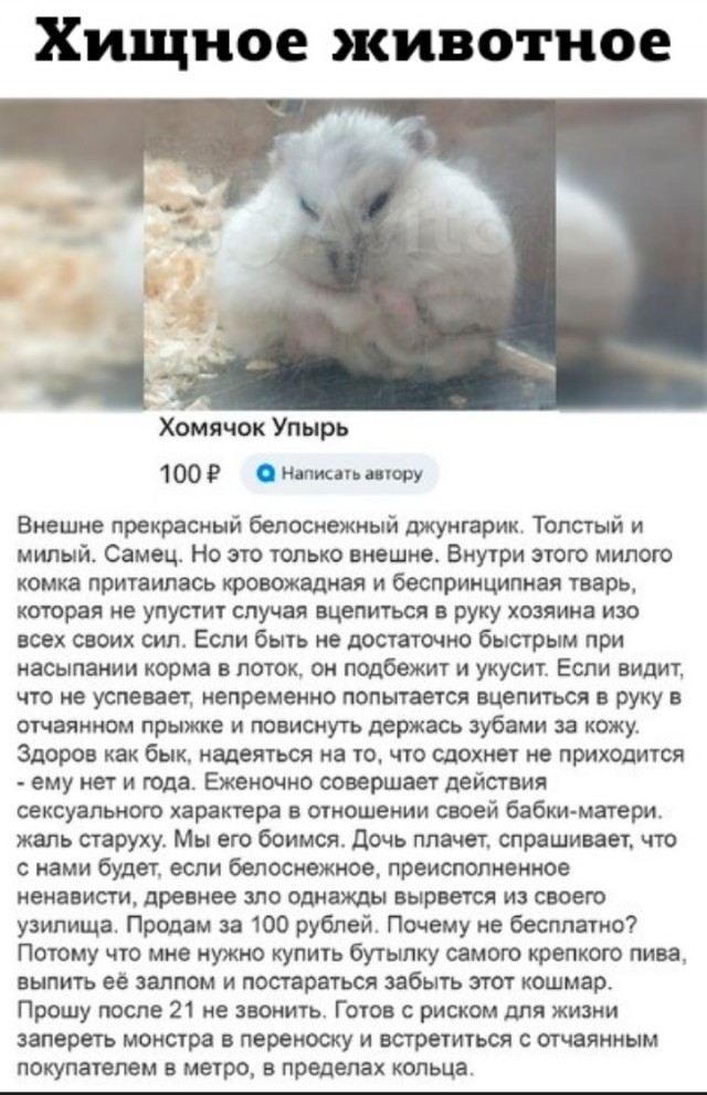 Как быстро надоедает жена