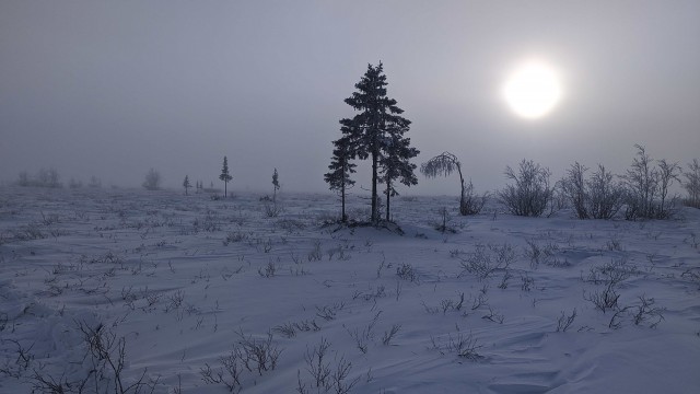 Заполярье из кабины грузовика