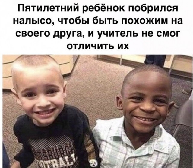 Кретинки  на будни