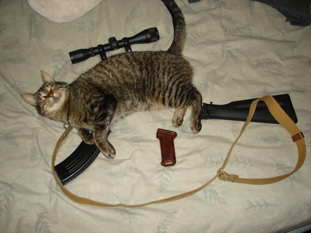 Насохранял