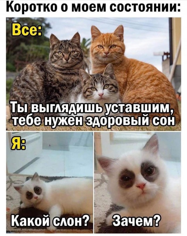 Калейдоскоп картинок