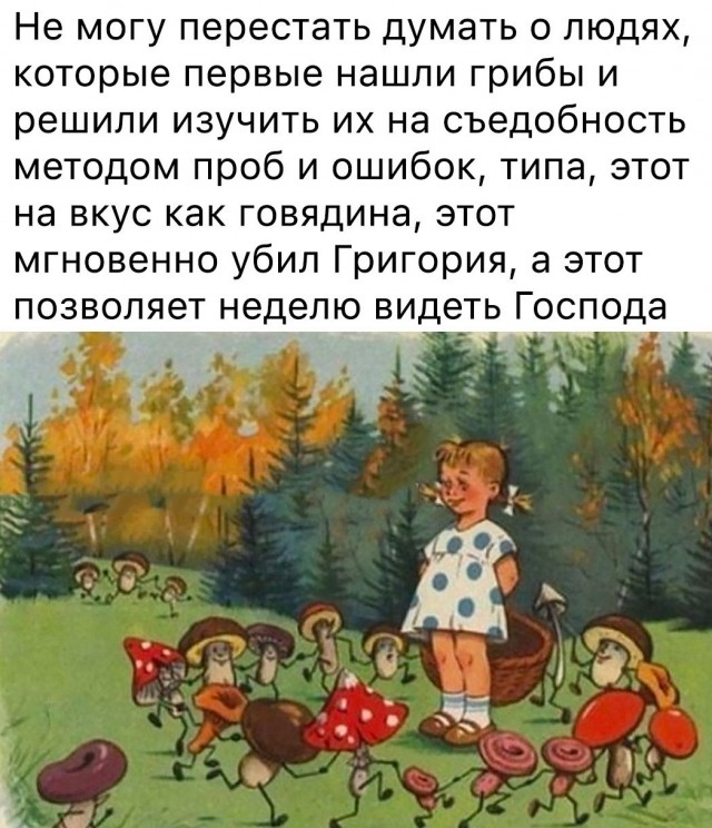 Весёлый полтишок 25.05