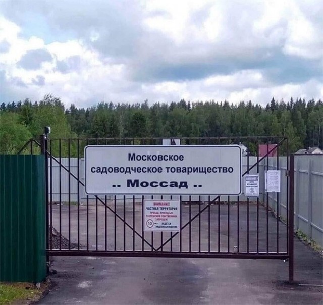 Алкопост 16.07.21