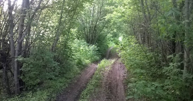 Декабрь на Южном Урале