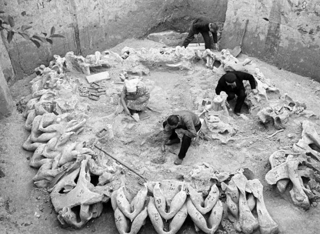 Малоизвестные исторические факты и снимки