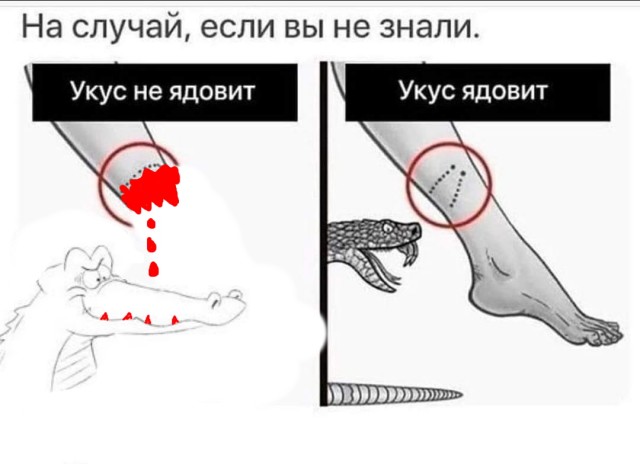 Вы спрашивали, как выглядят укусы ядовитых и не ядовитых змей, коллеги.
