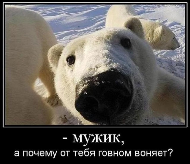 Немного картинок и прочей хреноты Vol. 10