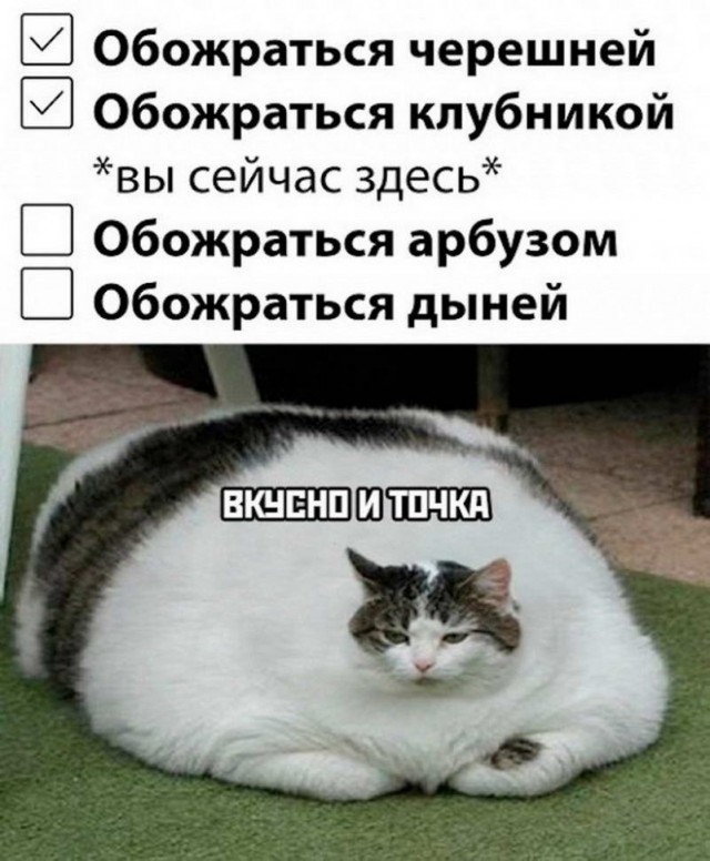 Картинки и мемы для настроения - 27