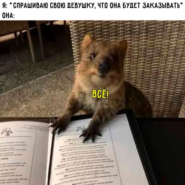 Картинки и мемы для настроения - 03