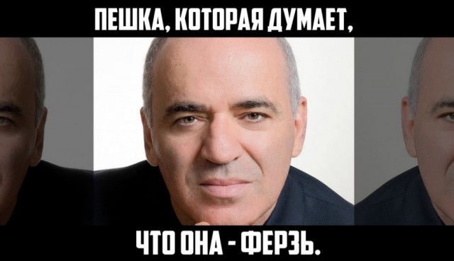 Маск назвал шахматиста Каспарова придурком и идиотом