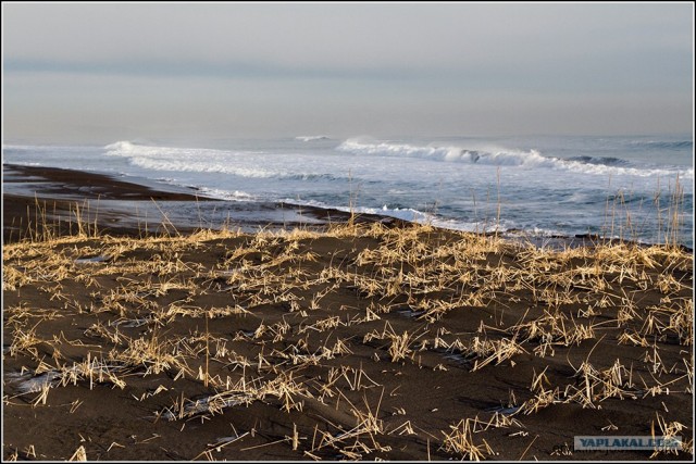 Петропавловск-Камчатский и его окрестности...