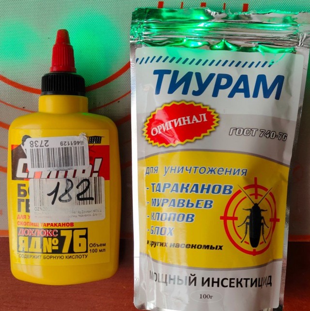 Тараканы в доме