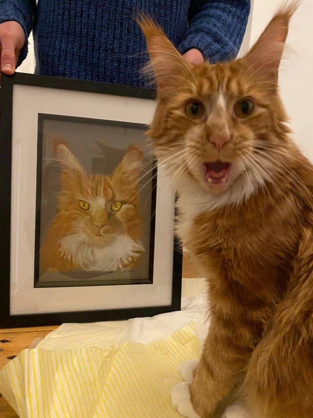 Подборка интересных и прикольных фото из Сети 01.04.23