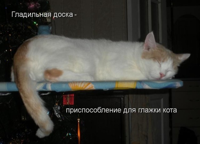 Чеши меня и не останавливайся