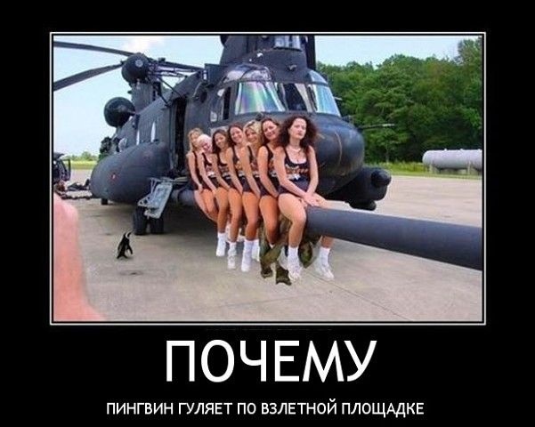 Так себе картинки 09.08.23