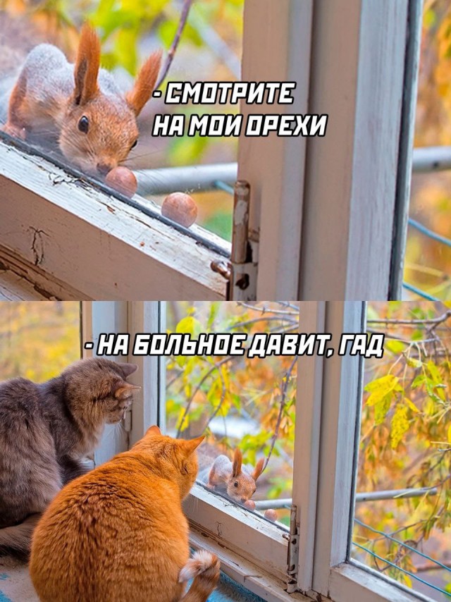 Так себе картинки 06.10.23