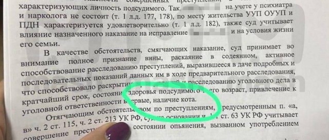 Впервые в истории России котик стал одним из смягчающих обстоятельств для уголовника в суде