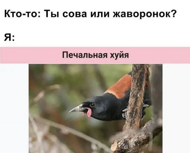 Для тех, кто так же ненавидит будни, как и я