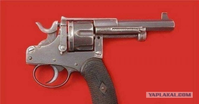 Ребенок прислал из школы ссылку на ТГ канал, в котором готовится теракт