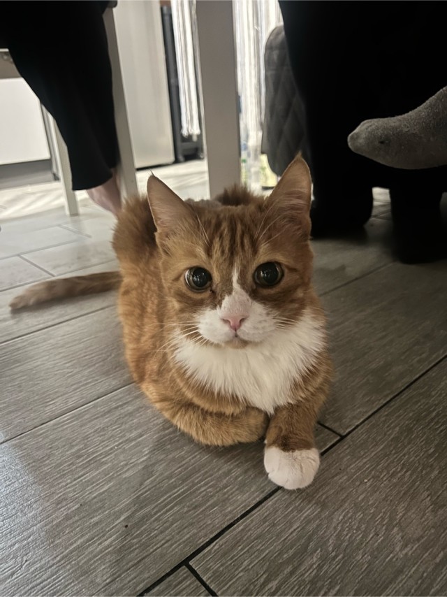 Хотите верьте, хотите нет