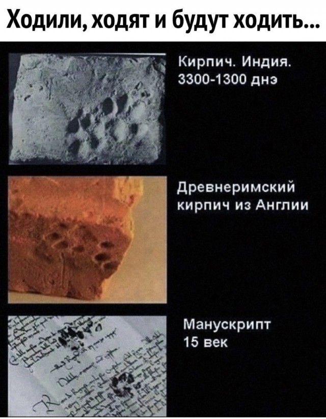Завалялось тут случайно немного забавных картинок