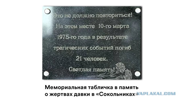 Back in USSR (20.02)
