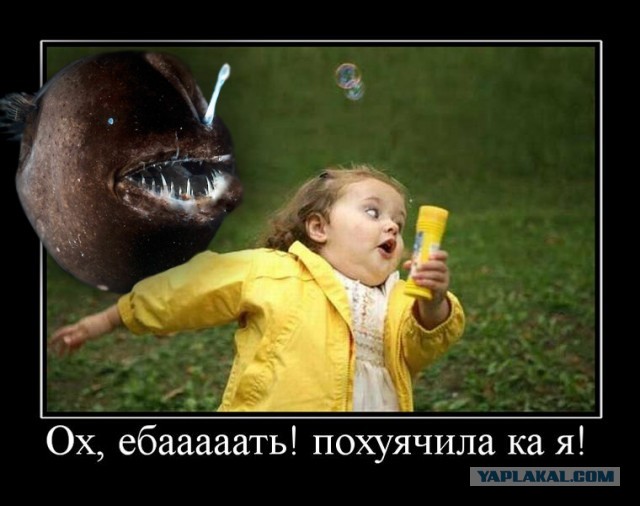 Почему же не стоит связываться с океаном?