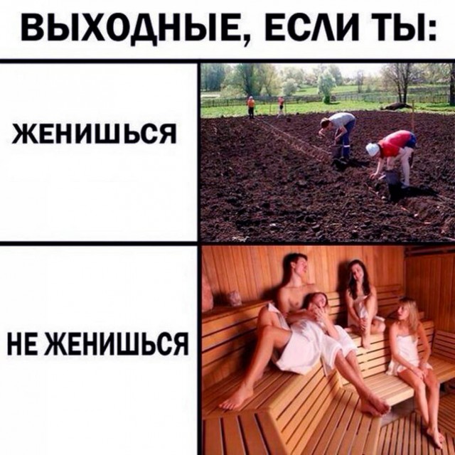 Так себе картинки 06.05.25