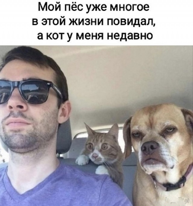Так себе картинки 19.06.25