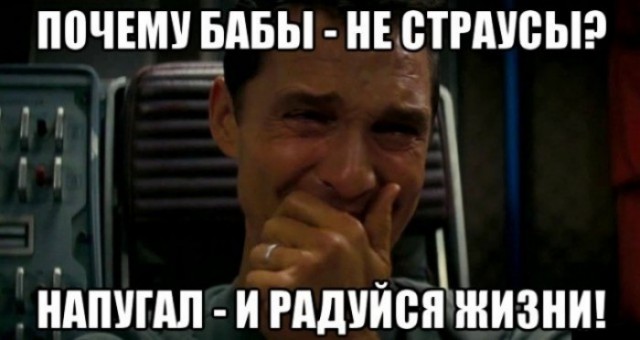 Соточка. Внеплановая. Дичь.