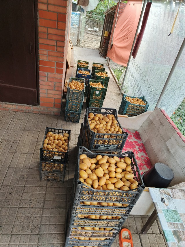 Есть время разбрасывать камни, а есть время собирать