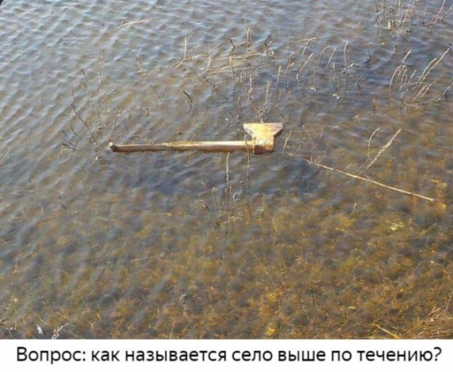 20401417.jpg