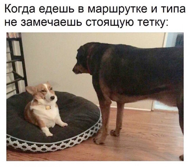 Так себе картинки 02.10.25