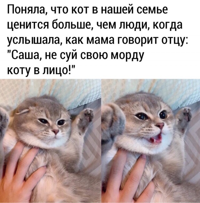 Воскресные картинки