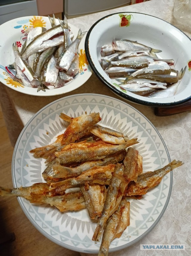 А кому семечек?