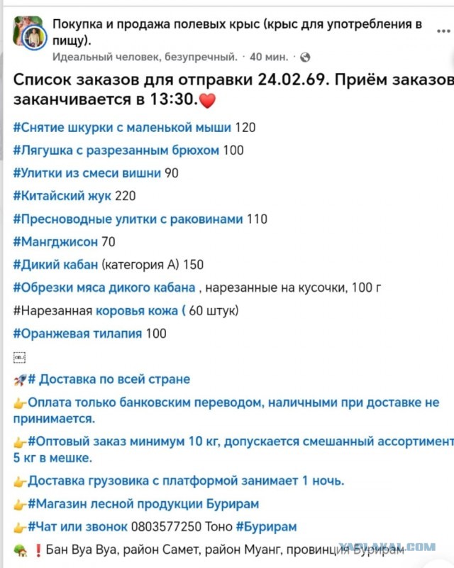 Кто скажет «ква» - получит в попец соломинку
