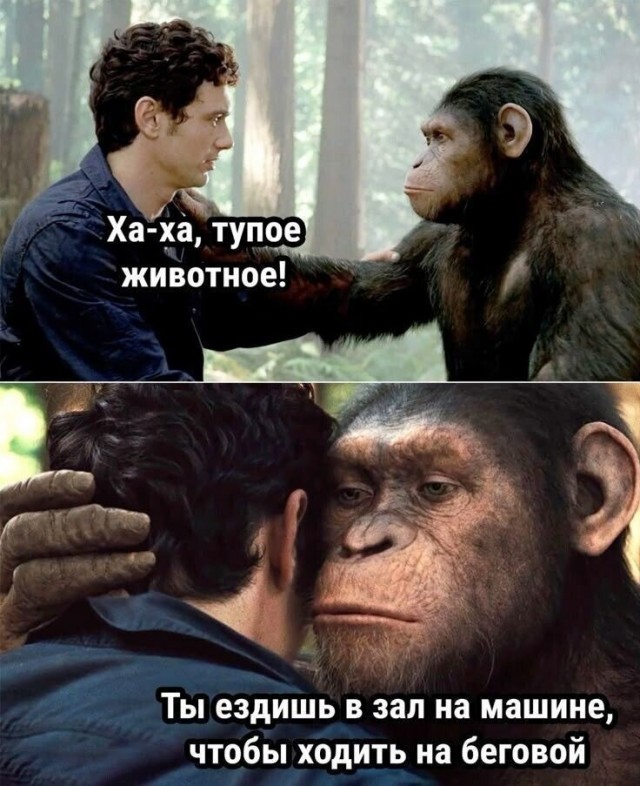 Чёрно-пошлая деградация