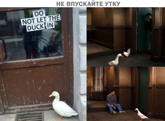 Фильмовый юмор в картинках