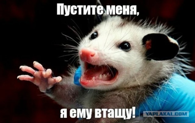 Бар недомузыкантов «Весёлые Буфера» Часть №2